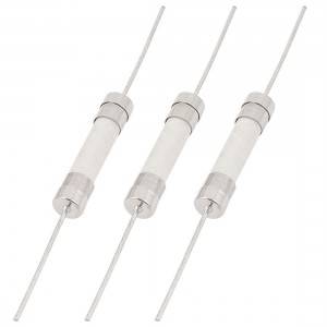 3pcs 250V 15A 6mm x 30mm Fast-blow Acting Axial Lead Ceramic Fuse White