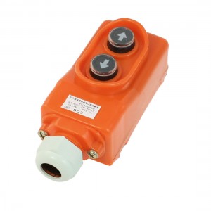 AC 500V/2A AC 250V/5A Monmentary Hoist Up Down Pushbutton Switch