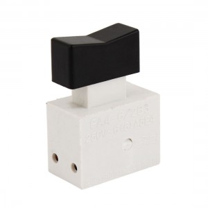 Black White Plastic DPST NO Trigger Switch Push Button AC 250V 6A