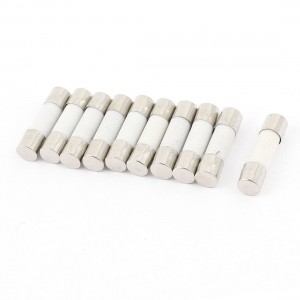 10 Pcs 250V 250mA Fast Blow Ceramic Fuse Tube 5mm x 20mm