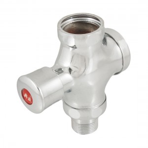 Silver Tone PT 3/4" Male Thread Push Button Type Toilet Flush Valve