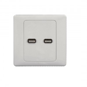 Dual Two USB Ports Wall Plate Coupler Outlet Socket Panel