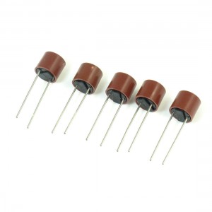 5Pcs Round Type Time-Lag Fast Blow Columniform Micro Fuse