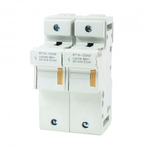 RT18-125AM AC 690V 125A 2 Pole 2P 22x58mm Cylindrical Fuse Holder Base