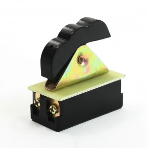 Screw Terminals DPST Electric Tool Swtich AC220V 4A/6A/12A