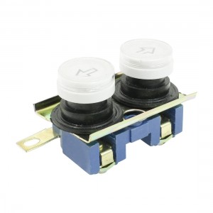 110-220V 10A 2 Ways Momentary Action Dual Screw Terminals Button for Hoist Crane