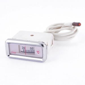 20-110 Degree Celsius Thermometer for Hot Water Boiler with Cables