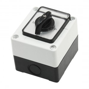 Plastic Housing Rotary Cam Control 2 Position Combination Switch