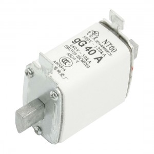 Blade Contact Type Ceramic HRC Fuse Link 660V gG 40A NTOO-40A
