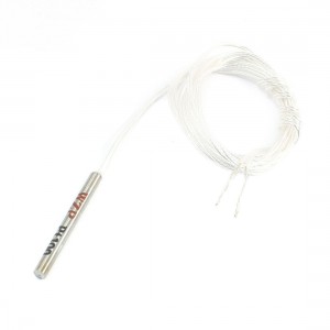 30mmx3mm Stainless Steel Sensor Head Temperature Detect Resistance -100 to 250C