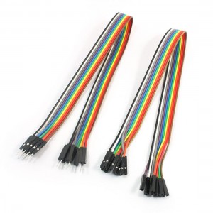 30cm 2.54mm 10Pin Male Female Connection Jumper Wire Cable Line Pair