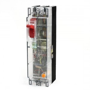 3000A Breaking Capacity 2Pole Leakage Circuit Breaker AC380V 40A DZ15LE-40/2901