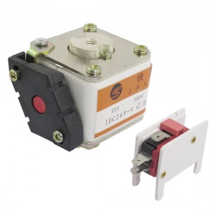 500V 80A Overload Protection Ceramic Super Rapid Fuse