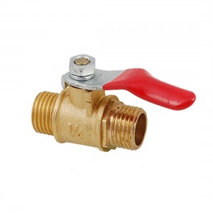 Dual Head Air Valve Brass Adapter Fitting Connector