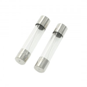 2 Pcs 5 x 20mm Fuse Fast Blow Glass Fuses Holder 10A 250VAC
