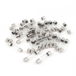 40 Pcs 250 Volts 2Amp Fast Blow Type Glass Tube Fuses 6mm x 30mm