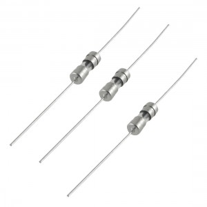 10 Pcs Axial Lead Slow Blow 3.6 x 10mm Glass Fuse 250V 1A