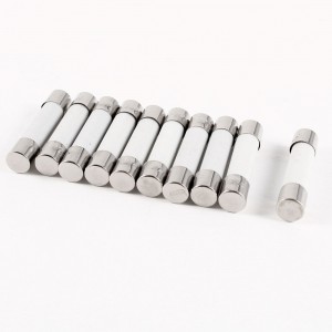 10 Pcs 250V 30A 6x30mm Cylindrical Ceramic Tube Fuses Link