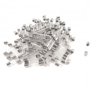 100 Pcs 250 Volts 2Amp Fast Blow Type Glass Tube Fuses 6mm x 30mm