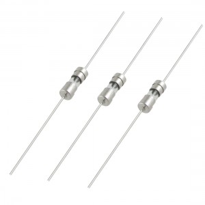 10 x Glass Cartridge Slow Blow Axial Lead Fuse 3.6x10mm 250V 10A