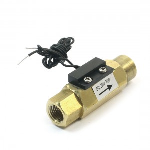 Copper 2 Wires Magnetic Type Water Flow Switch Flowmeter DC 250V 70Watt 0.5A