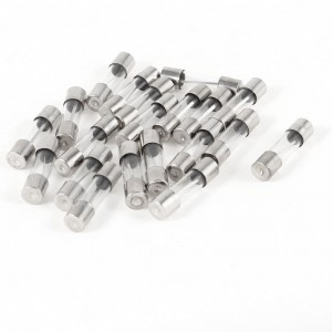20pcs Fast Blow Glass Tube Fuse 20A 250V 5mm x 20mm