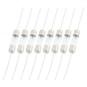 250VAC 6A 5mm x 20mm Axial Lead Glass Fuses Tube 8 Pcs