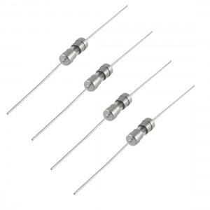 10 Pieses Axial Lead Slow Blow 3.6 x 10mm Glass Fuse AC 250V 2.5A