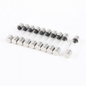 10 Pcs Fast Blow Type Glass Tube Fuses 6x30mm 250V 2A
