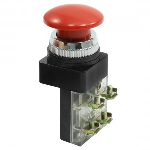 AC 250V 6A Red Mushroom Button Non Lock Pushbutton Switch DPST NO NC