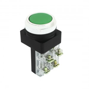 DPST 4 Screw Terminals Green Flat Button Momentary Pushbutton Switch AC 250V 6A