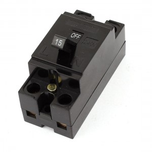 AC 240V 64A 2 Pole 1 Element Safety Switch MCB Mini Circuit Breaker