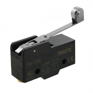 Screw Terminal Roller Long Lever Hinge Momentary Micro Switch Gwjva