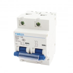 DZ47-125 35mm DIN Rail Mounting 2 Poles Circuit Breaker AC400V 80A