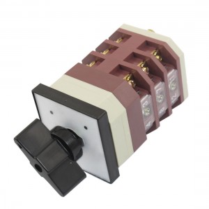 AC 380V 16A Latching 12 Terminals 2 Position Cam Combination Changeover Switch