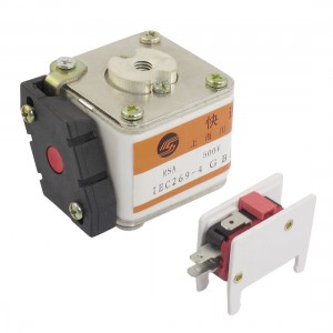 500V 315A 2.5" Length Short-circuit Overload Protection Super Rapid Fuse