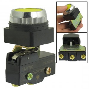 AC 250V 15A 1NO 1NC 30mm Thread Momentary Yellow Flat Push Button Micro Switch