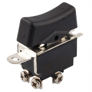 AC 250V 12(10)A Double Poles Switch for Electric Power Tool