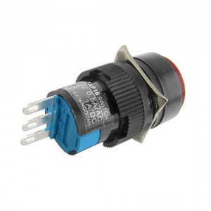 Red Blk Momentary Lamp Press Button Push Switch AC 250V