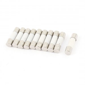 10 Pcs 250V 8Amp Fast Acting Ceramic Fuses Tubes 5mm x 20mm